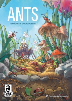 ANTS spel doos box Spellenbunker.nl