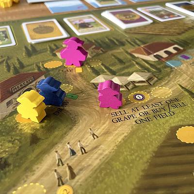 Viticulture - Essential edition