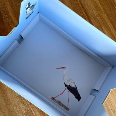 Wingspan - Nesting Box