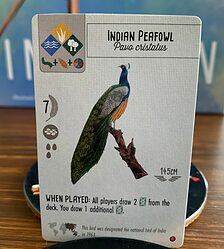 Wingspan: Asia Expansion spel doos box Spellenbunker.nl
